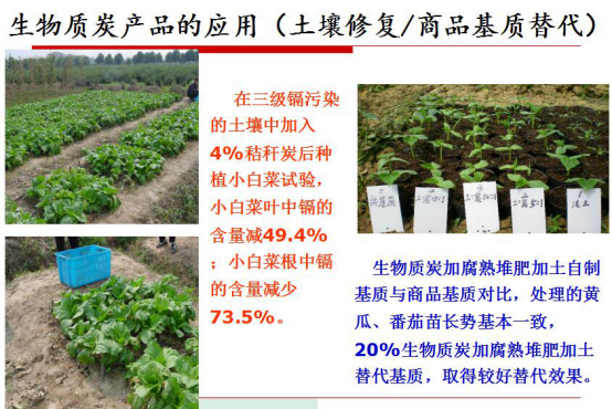 仟億達生物氣化發電的明顯社會效益